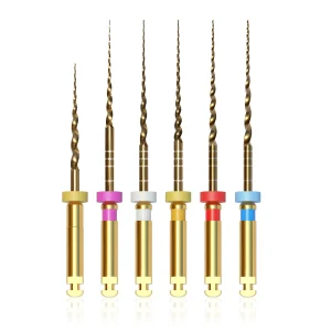 Root Canal File: TG6 (Gold) 21mm V0-T3 (6pcs/blister)